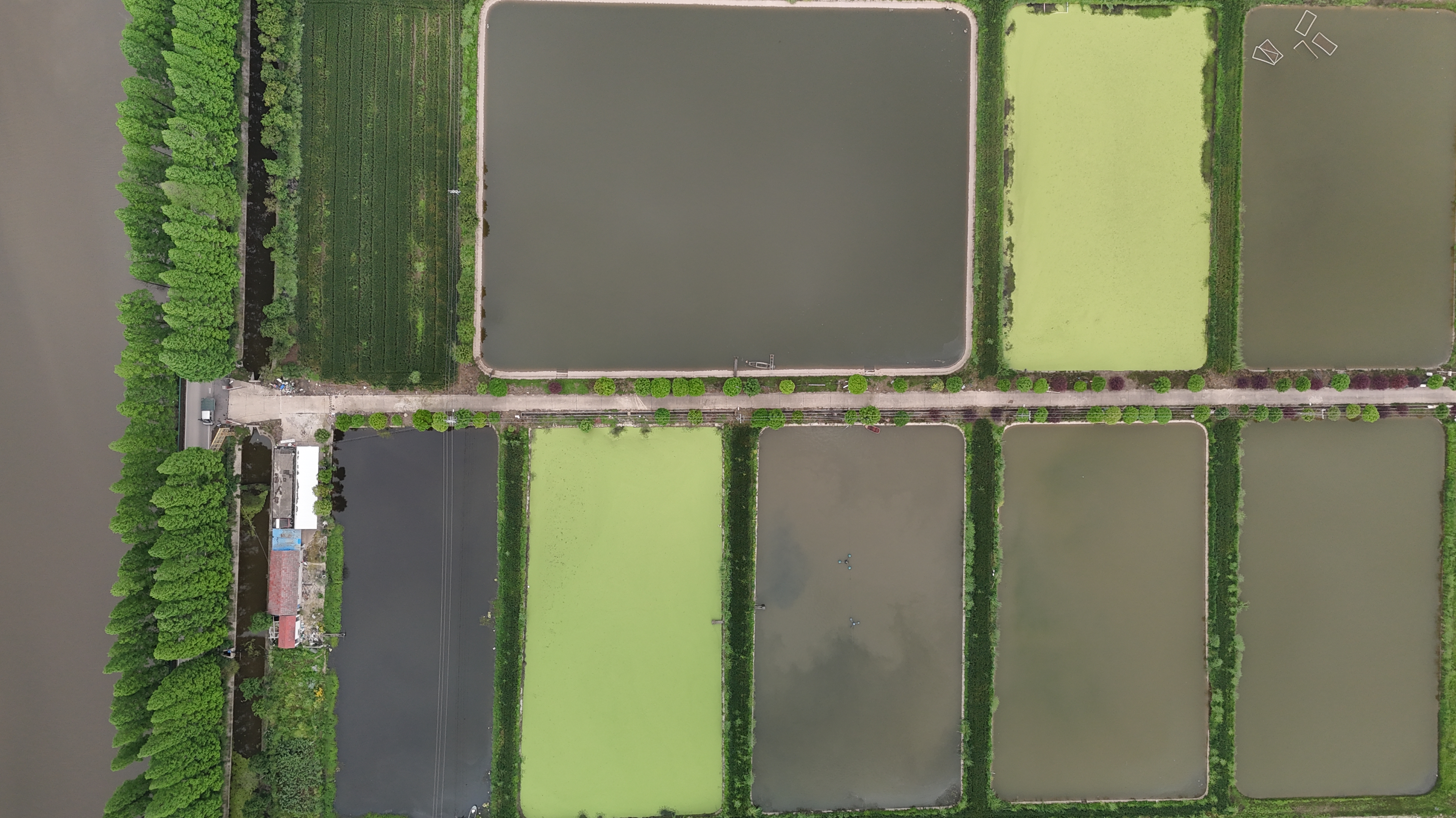 塘域地空协同巡检