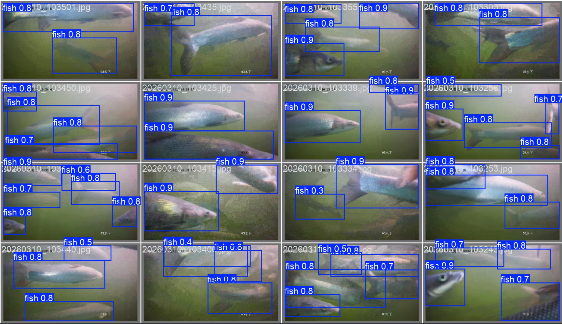 多模态感知融合