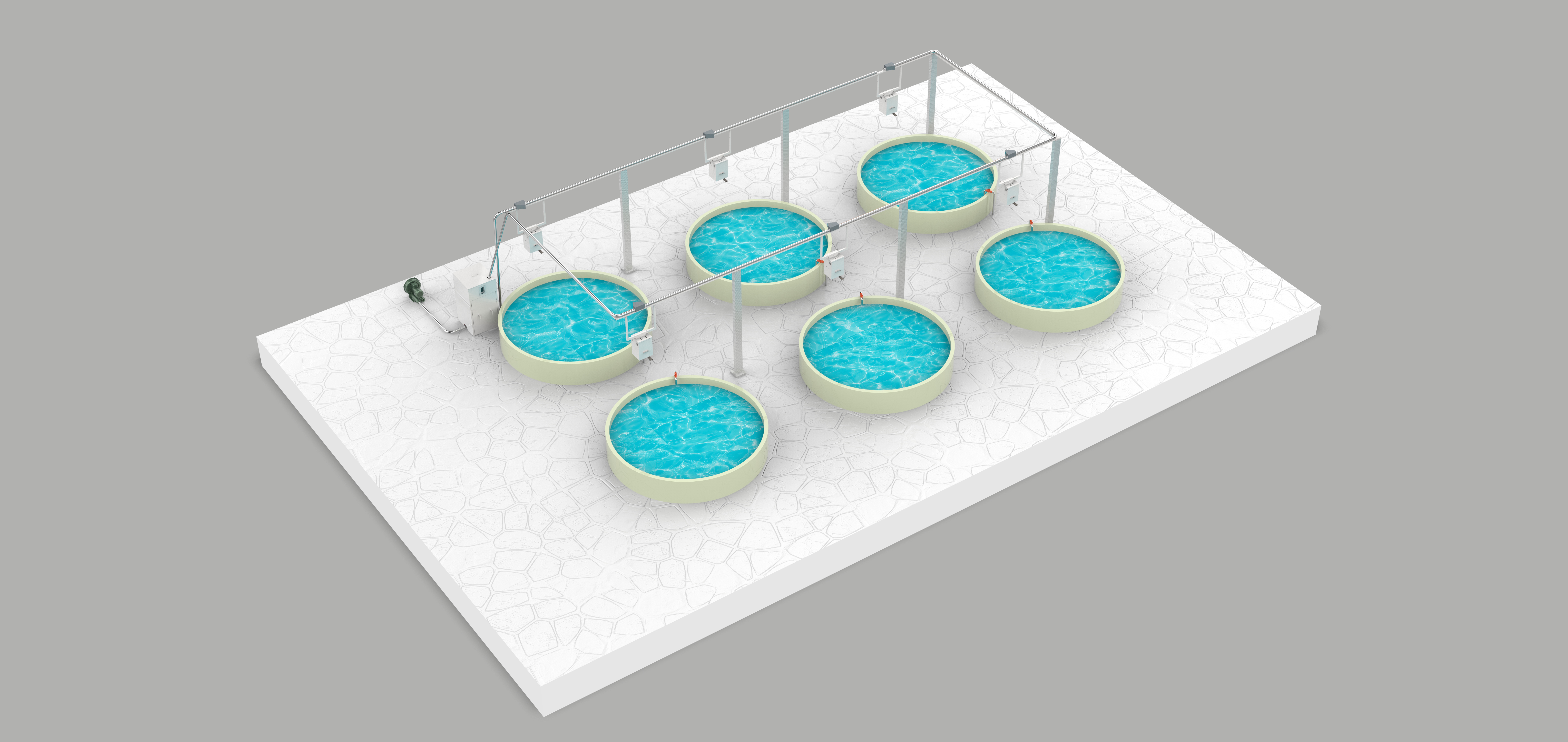 智能精准投喂模型图